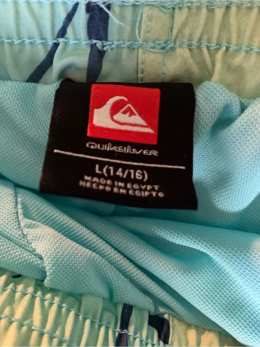 Quiksilver classic swim